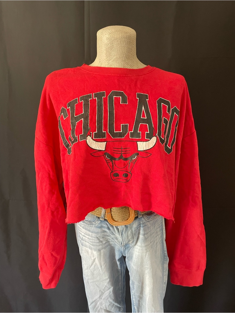Chicago Bulls Red Cropped Crewneck Sweater - Picture 1 of 4